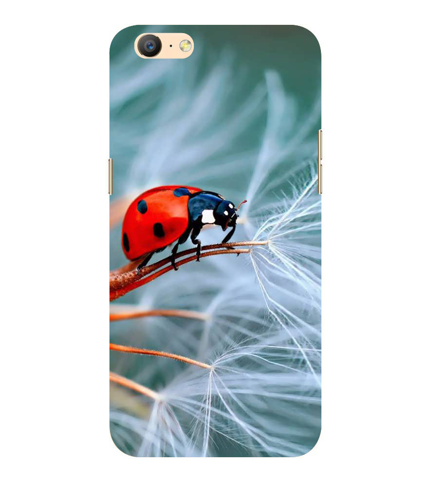 buy babula designer back cover for oppo a39 butterfly animal buck pest at 64 in buy babula designer back cover for oppo a39 butterfly animal buck pest at 64 in